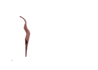 lashifylife wand lashify idieforlashify lashifylife Sticker