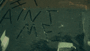 itaintme fortunateson GIF by Creedence Clearwater Revival