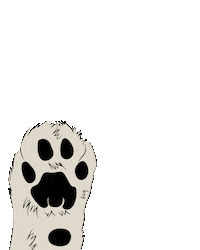 High Five Snow Leopard Sticker