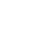 Emerica Skate Shoe Sticker by Emerica Canada