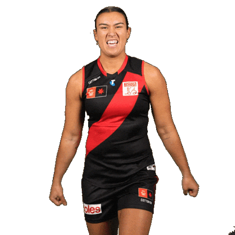 Football Sport Sticker by Essendon FC