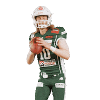 Quarterback Qb Sticker by Schwäbisch Hall Unicorns