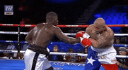 toprank fight boxing fighting espn GIF