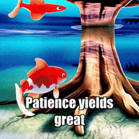 Wisdom Patience GIF by TheConfishius