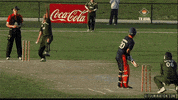 cricket GIF