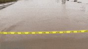 Climate Change Car GIF by GIPHY News