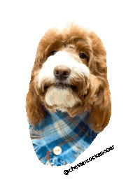 Pawprintzco happy dog yay friday Sticker