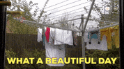 Day What GIF by Pixel Bandits