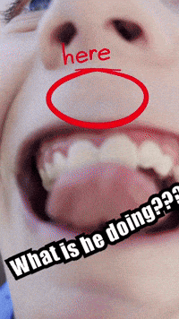 What Is He Doing Baked Bean GIF