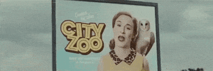 big cat GIF by Domino Recording Co.