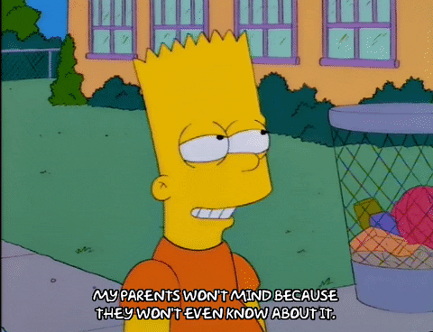 bart simpson GIF