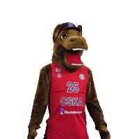 Sport Basketball Sticker by CSKA Moscow
