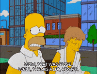 homer simpson GIF