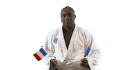 World Champion Sport Sticker by Paris Saint-Germain Judo