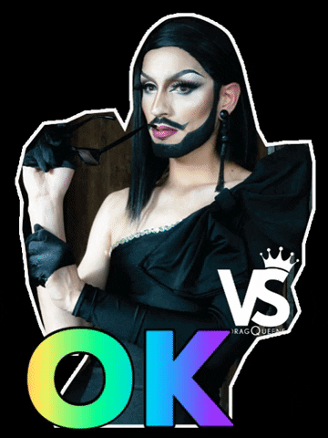 versusdragqueens drag queen versus vsdq versus dragqueens GIF