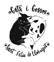 Gatsigossossantfeliu Sticker by Consvir