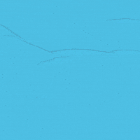 Video gif. A man dressed as a teddy bear waves. Text, “sending love.”