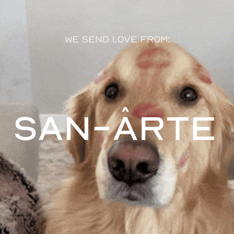 Golden Retriever Love GIF by PRÉVOIR