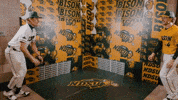Baseball Bison GIF by NDSU Athletics