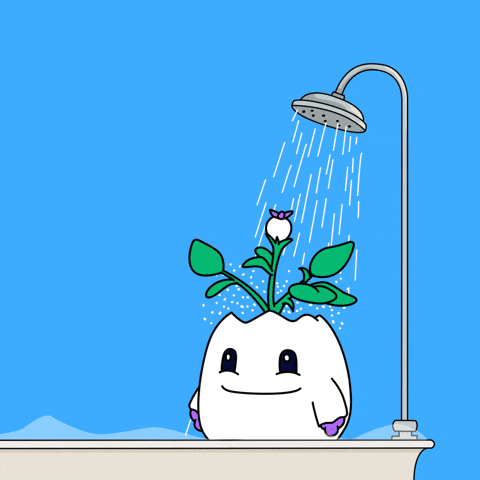 Freezing Ice Block GIF by Magic Eden