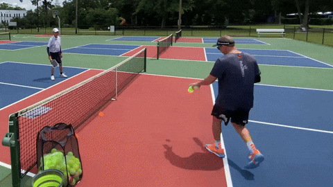 5IVEZERO giphyupload pickleball pro pickleball 5ivezero GIF