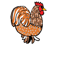 Chickens Sticker
