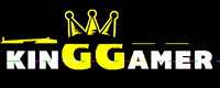kinggamerloja gg loja online kinggamer kinggamerloja GIF