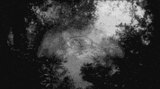 black sunday art GIF by hoppip