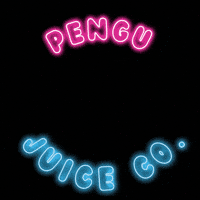 New England Patriots Football GIF by Pengu Juice Co.