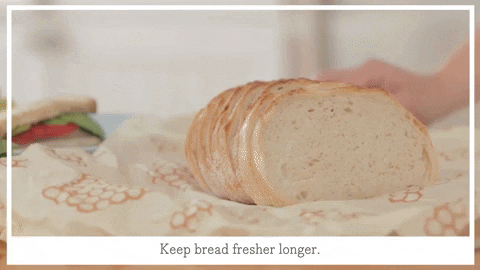 Beeswrap giphyupload GIF