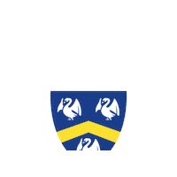 Rugbycisneros Sticker by Complutense Cisneros