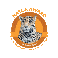 Bear Comedian Sticker by Woodland Park Zoo