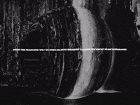 Enjoy Lol GIF by FranchiseONE.de