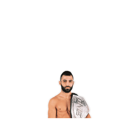 TeamPetrosyan giphygifmaker fight mma kick Sticker
