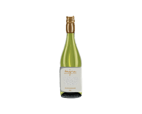 vinotajna giphyupload wine rose vino Sticker