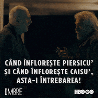 GIF by HBO Romania