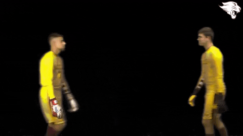 Cuc19 D3Soc GIF by CUCougars