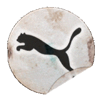 Puma Pumakicks Sticker by OK COOL