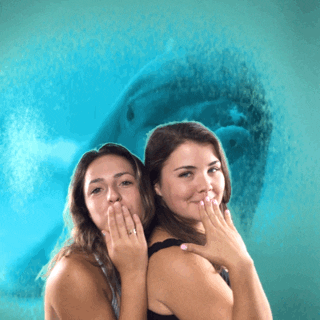 GIF by GIPHY CAM