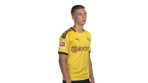 Proud Line Up Sticker by Bundesliga