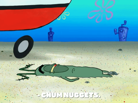 season 8 GIF by SpongeBob SquarePants