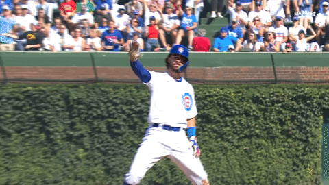 Celebration Baseball GIF by Marquee Sports Network