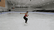 Skating Celebrity Big Brother GIF by Big Brother