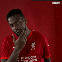 Happy Premier League GIF by Liverpool FC