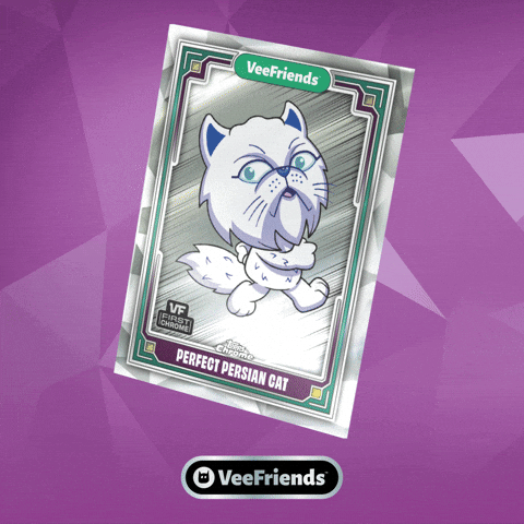 Collect Persian Cat GIF by VeeFriends