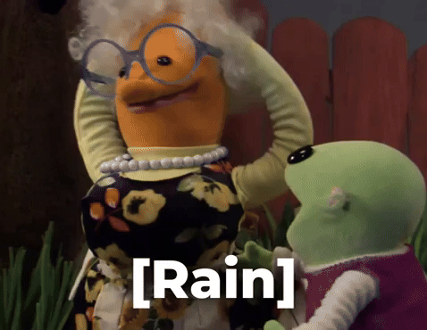 Rain