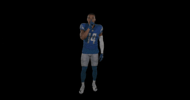 St Brown Football GIF by Detroit Lions