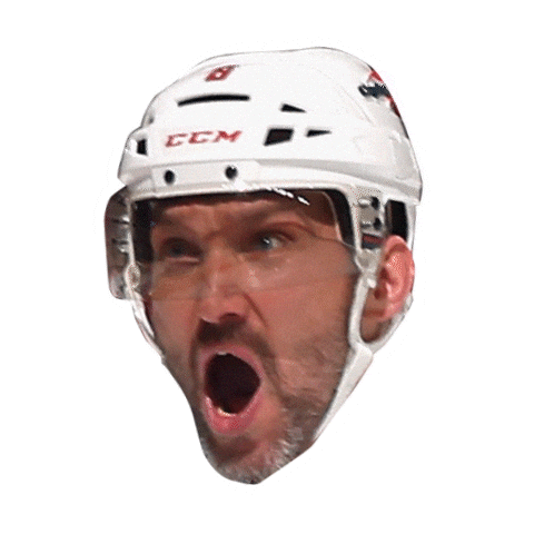 National Hockey League Sticker by NHL