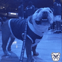 Happy Butler Basketball GIF by Butler University