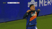 Vamos Lets Go GIF by Major League Soccer
